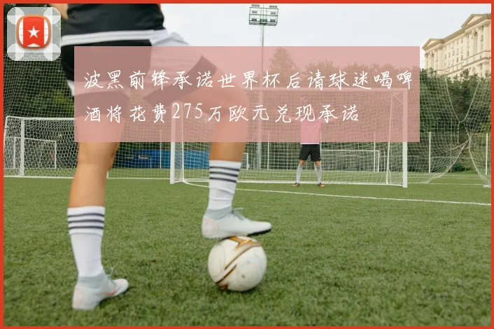 波黑前锋承诺世界杯后请球迷喝啤酒将花费275万欧元兑现承诺