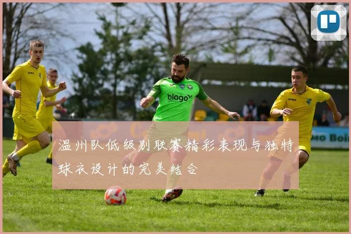 温州队低级别联赛精彩表现与独特球衣设计的完美结合